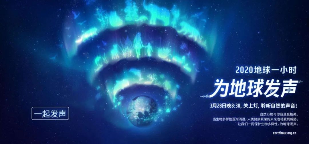 環(huán)保進行時 | 華洲木業(yè)，用行動為地球發(fā)聲(圖1)