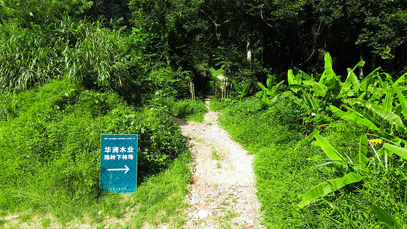 嚴格選材，只為一張好板材！(圖1)
